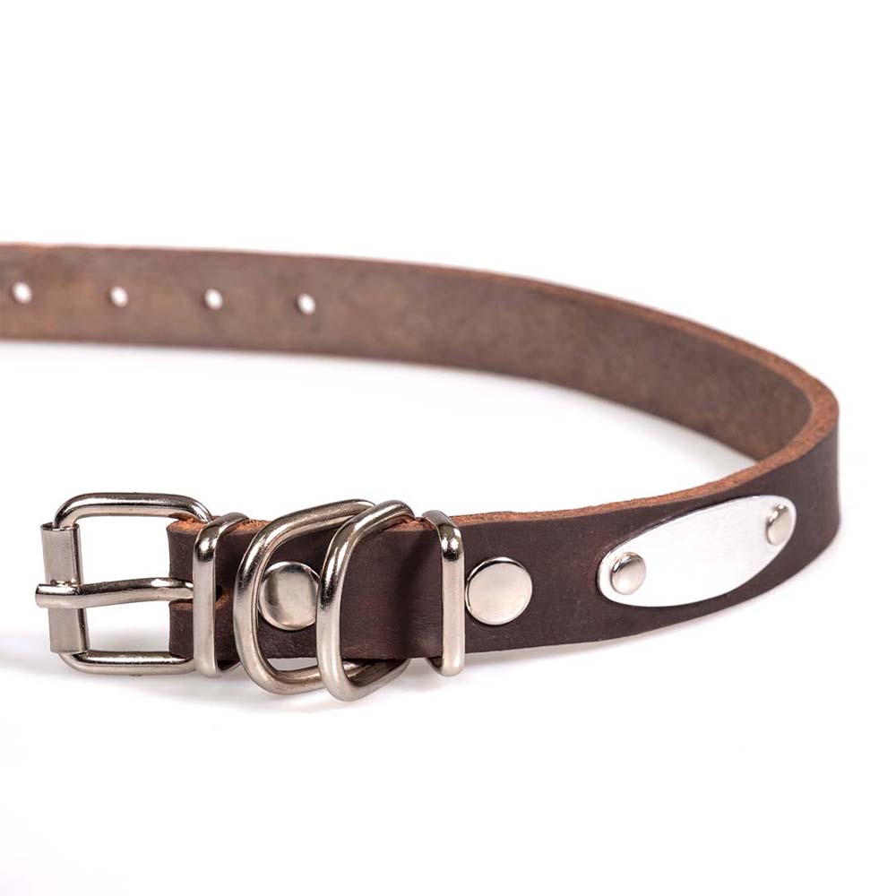 Funky Pet Oil Collar for Dogs 48cm - 2,2cm