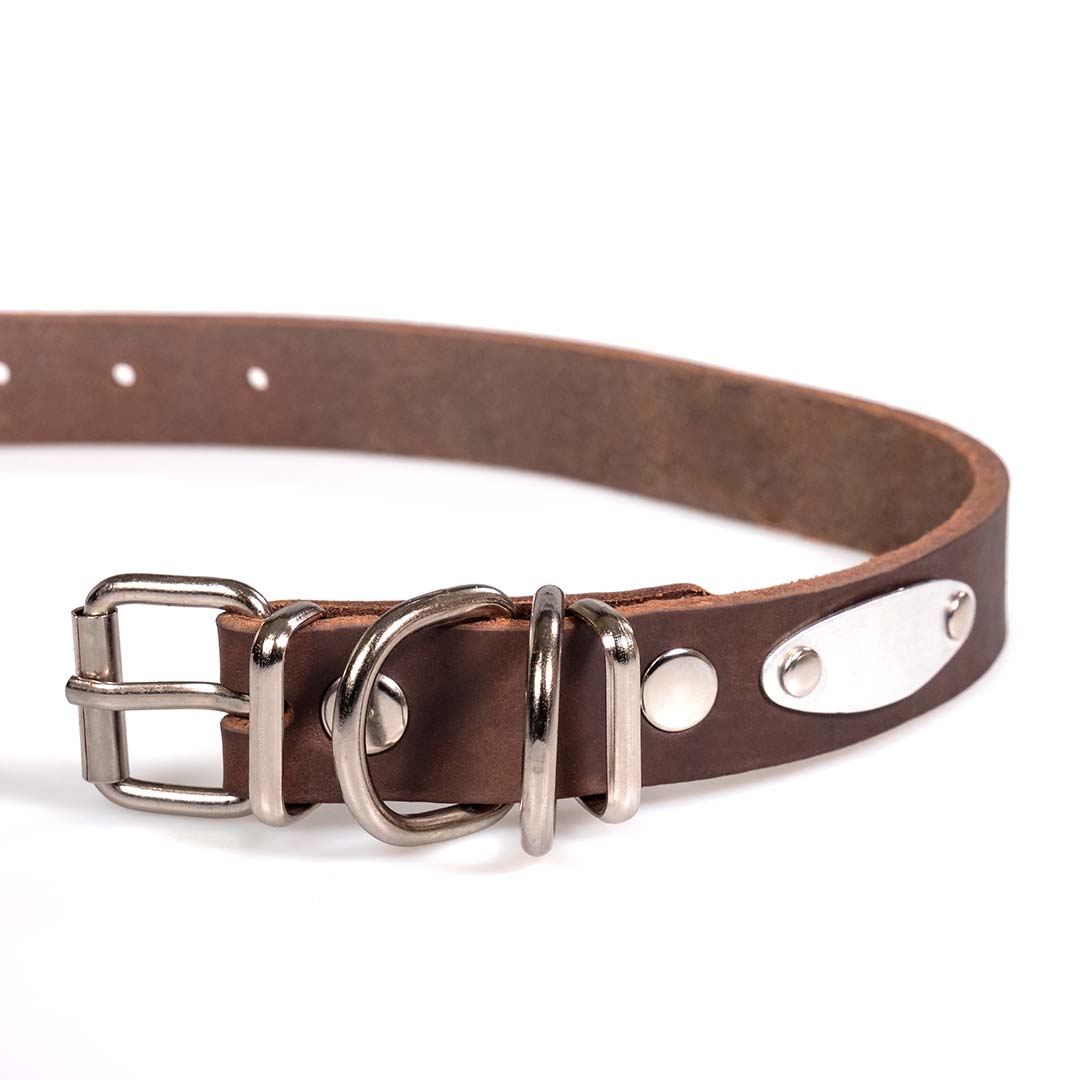 Funky Pet Oil Collar for Dogs 53cm - 2.5cm