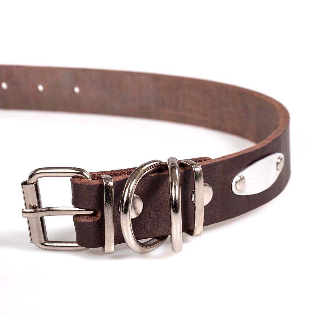 Funky Pet Oil Collar for Dogs 57cm - 3cm