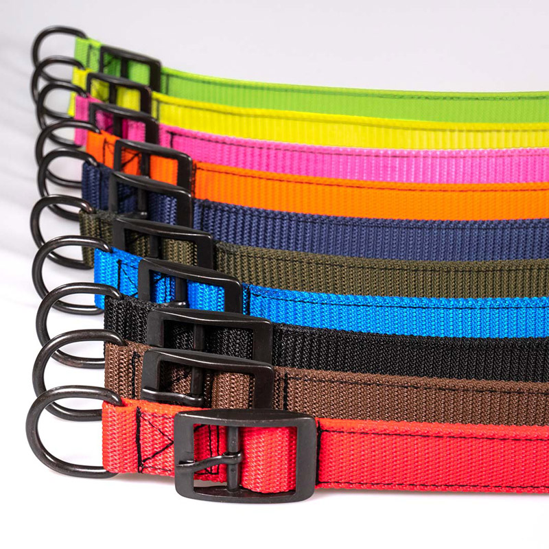 Synthetic Webbing Collar Dark No.3