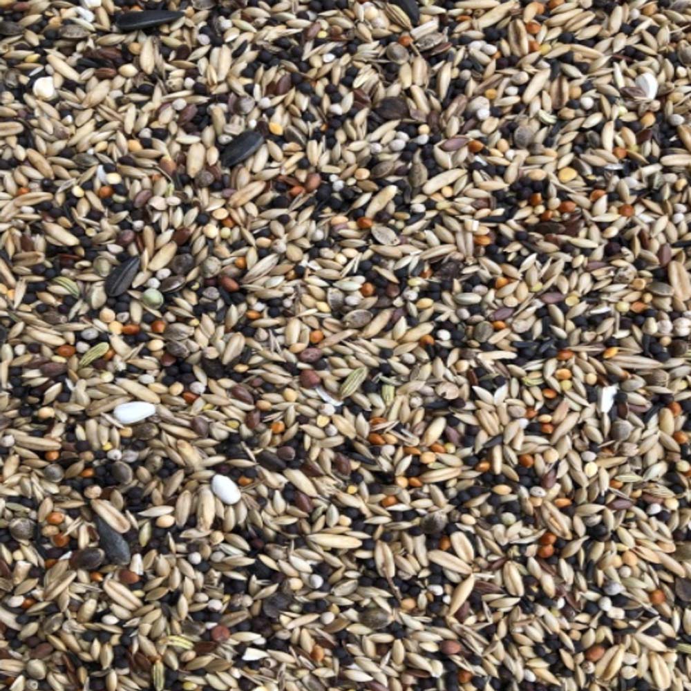 Αγριοπούλια – Τροφή για άγρια πτηνά 20kg