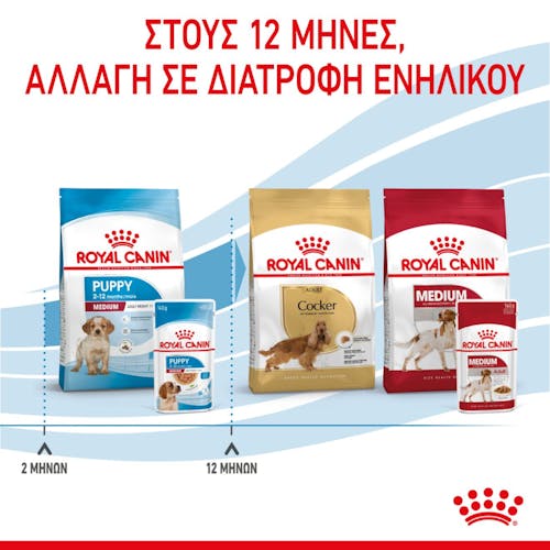 Royal Canin Medium Puppy τροφή για κουτάβια 140gr