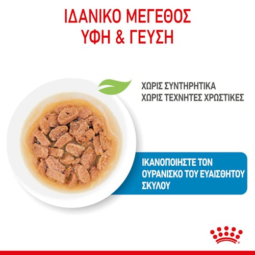 Royal Canin Mini Puppy τροφή για κουτάβι 85gr