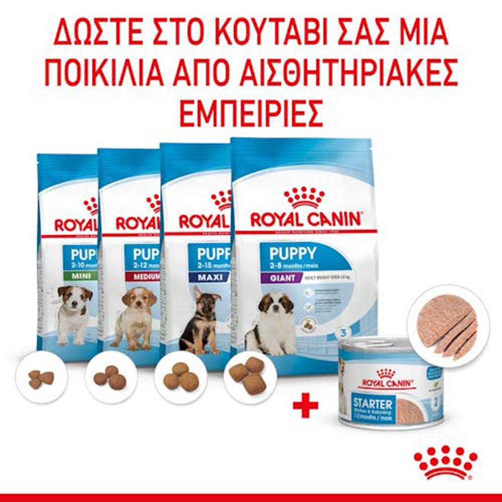 Royal Canin Starter M&B τροφή για σκύλες και κουτάβια 195gr